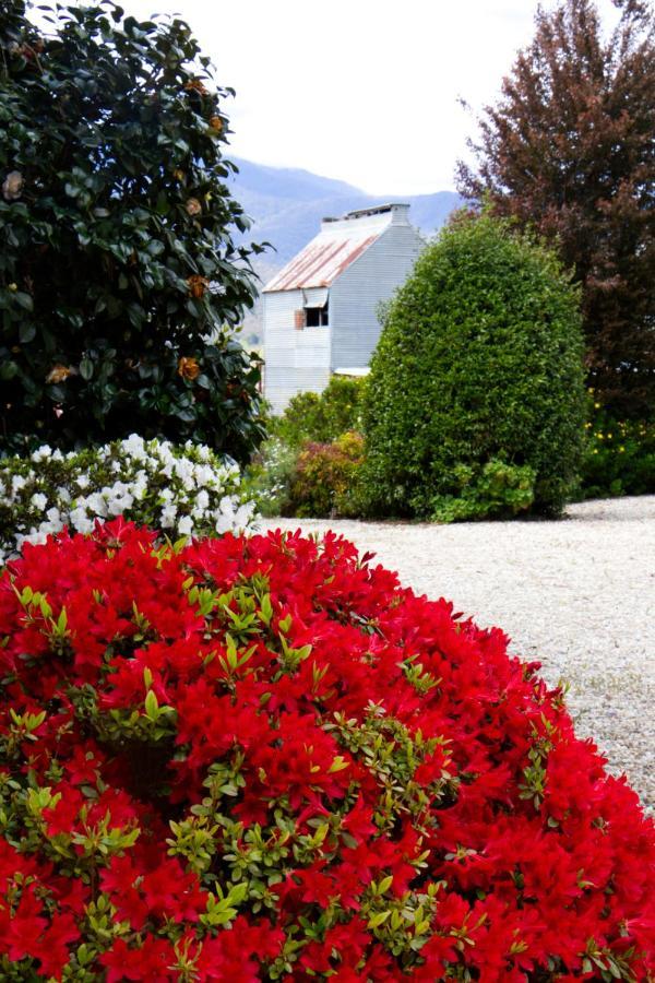 Alpenhorn Holiday Units Mount Beauty Esterno foto
