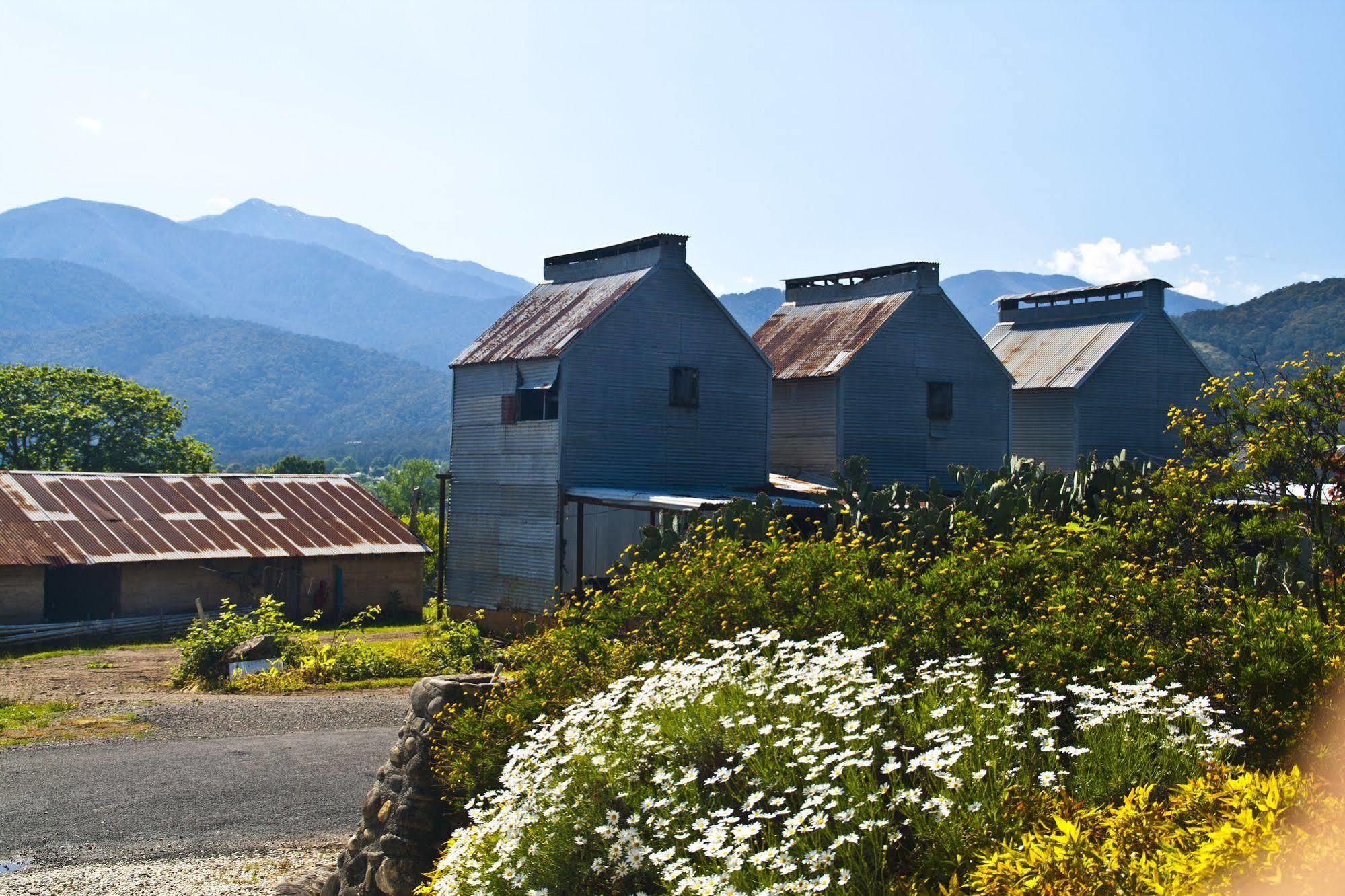 Alpenhorn Holiday Units Mount Beauty Esterno foto